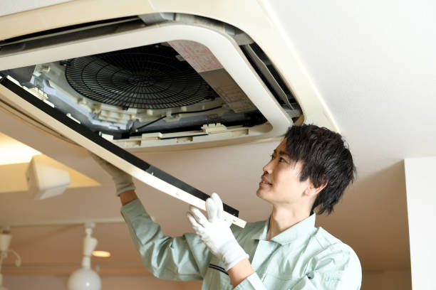 Best Affordable Air Duct Cleaning  in Bloomingdale, FL