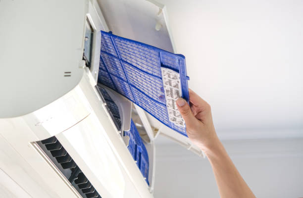Best Ductwork Cleaning Services  in Bloomingdale, FL